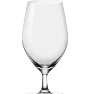 1026G14 Santé Water Goblet